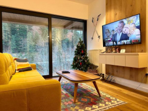 Charmy mountain suite in hotel Phoenix
